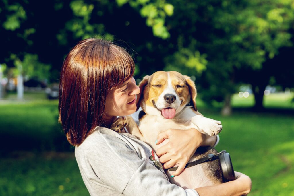 Smiling senior receiving pet therapy from a gentle dog in a cozy home setting.
