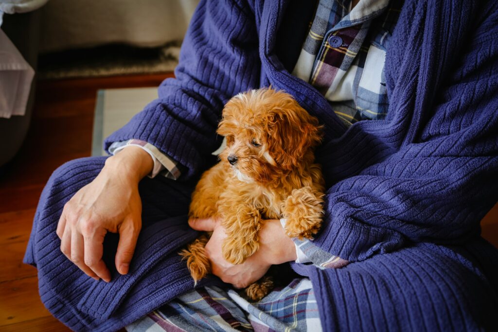 Pet therapy improving senior health with calming animal interaction.