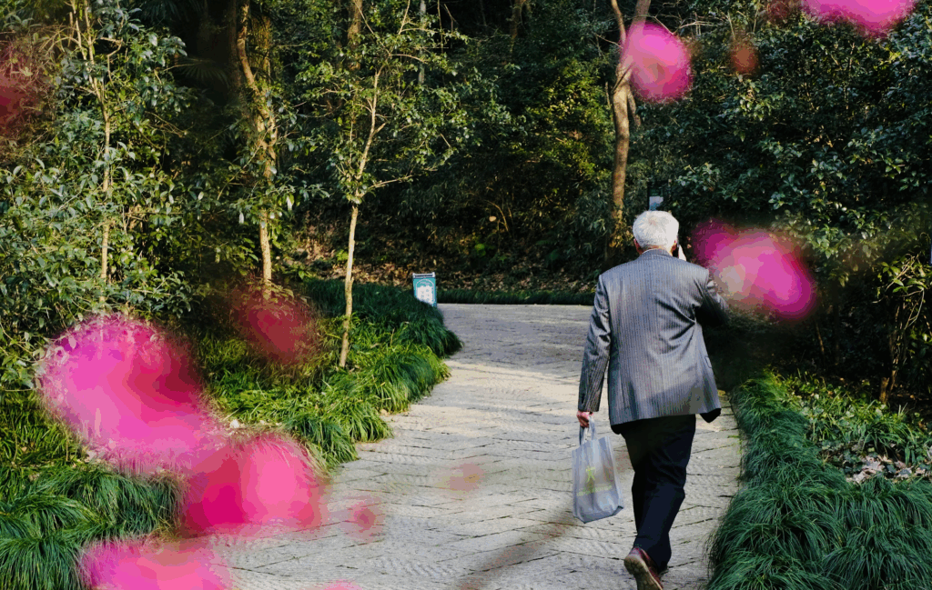 Elderly man enjoying while planting vegetables in a raised garden bed