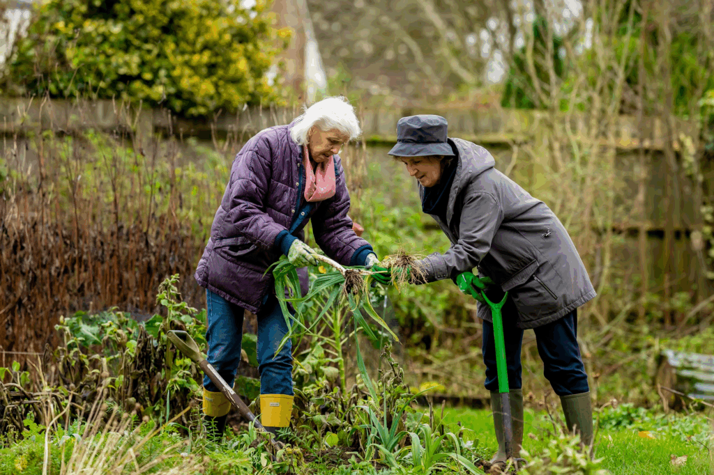 Older adult experiencing the benefits of garden therapy while tending to indoor plants