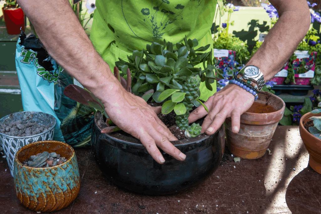 Home care aide assisting a senior with garden therapy activities in a safe outdoor space