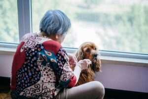 Pet Therapy for Seniors: Gentle Companions That Heal Emotionally