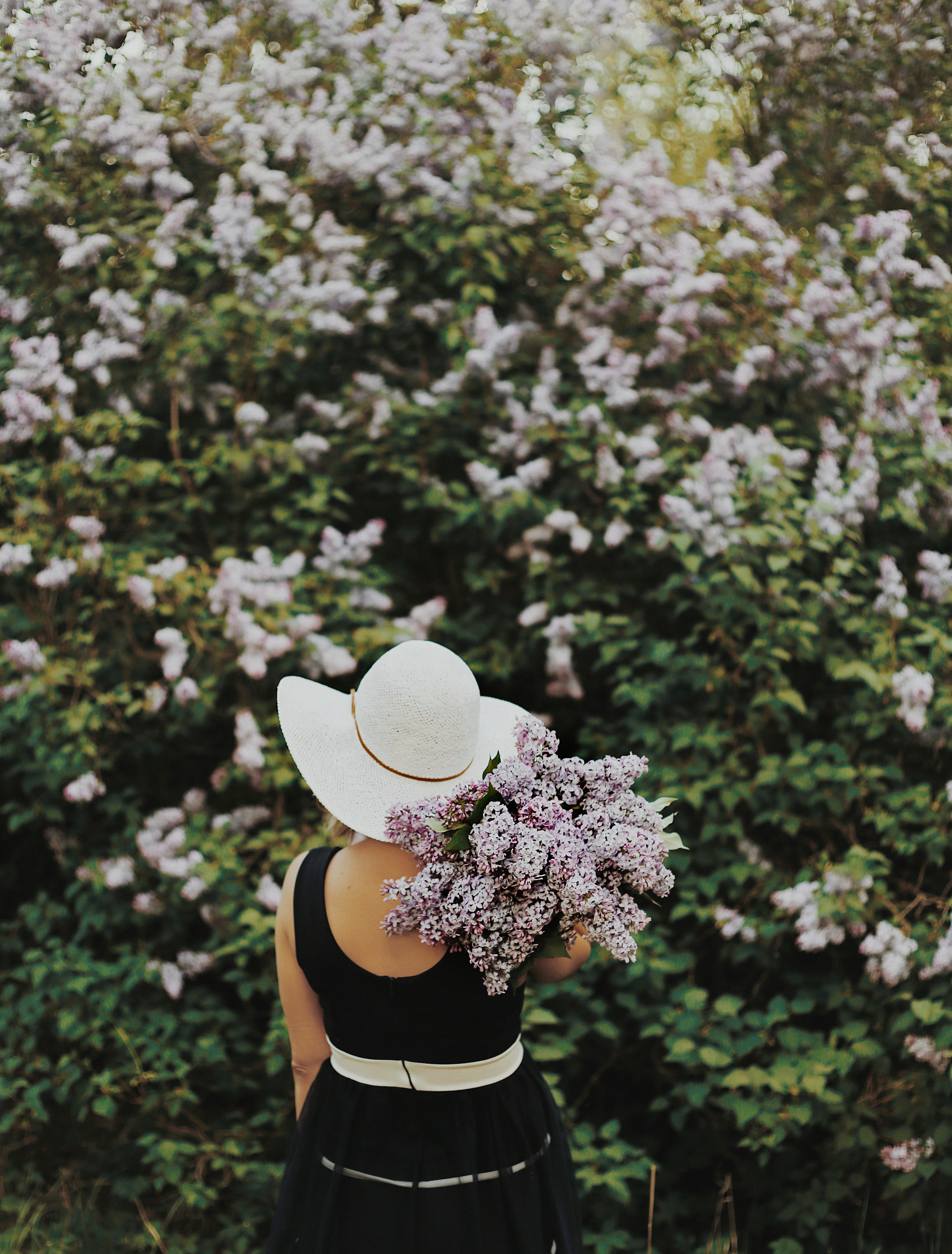Older adults benefiting from essential oils like lavender