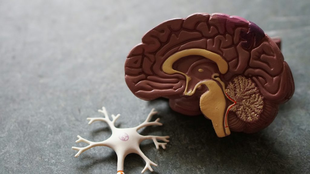 Delirium vs. Dementia: How Families Can Recognize the Difference