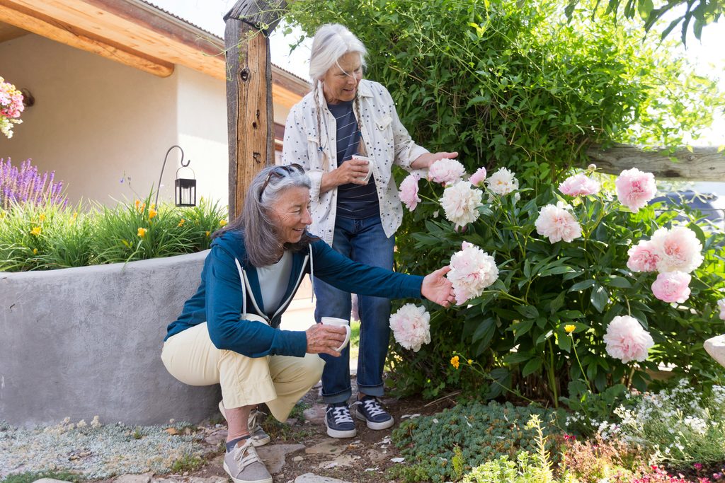 Senior enjoying a peaceful moment in a garden surrounded by flowers and greenery.
